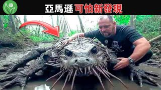 亞馬遜雨林的變種鱷魚？他們意外地記錄了亞馬遜叢林中令探險家感到恐懼的事物，簡直嘆為觀止！ 【探索旅行號】 [upl. by Norda483]