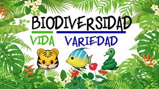 🌿 ¿Qué es la BIODIVERSIDAD 🐝 Fácil y Rápido  BIOLOGÍA [upl. by Sema94]