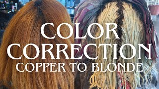 Copper to Blonde in One Day Color Correction amp Toner Tutorial Hair Transformation Platinum Card [upl. by Cheyne]