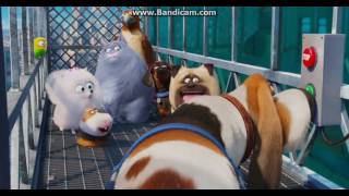 The Secret Life of Pets  Going to the Sewers [upl. by Afirahs]