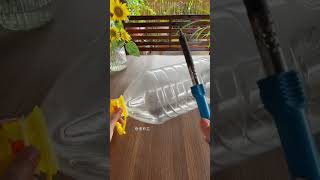 Beautiful garden flowers plants in bottle flower diy garden home gardenplants [upl. by Aikimat]