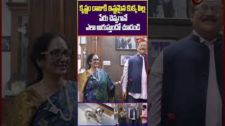 కృష్ణం రాజు పెంచుకున్న కుక్క పిల్ల LegendaryActorKrishnamRaju KrishnamRajuHouseTour trendingshort [upl. by Nabi410]