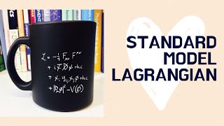 The Standard Model Lagrangian explained [upl. by Corabel]