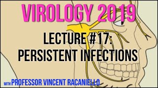 Virology Lectures 2019 17 Persistent Infections [upl. by Ielirol]