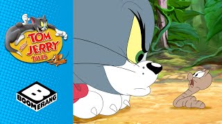 Tom amp Jerry  How many Jerrys  Boomerang UK [upl. by Ayoj]