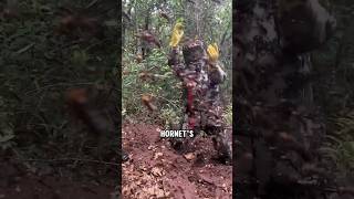 Brave Beekeeper Faces Giant Hornets Nest😱 shorts [upl. by Nerte]