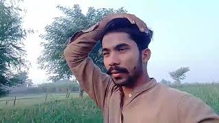 My Field In Village One Aker And Morning vlog video On my channel [upl. by Imis924]