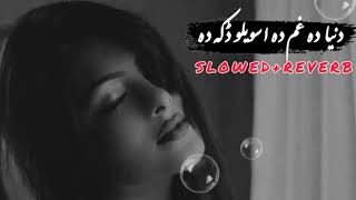 Dunya da gham gham  Dunya da gham da aswelo daka da SlowedReverbpashto lyrics [upl. by Noiek13]