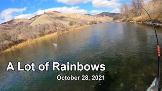 267 A Lot of Rainbows  October 28 2021 [upl. by Sewole693]