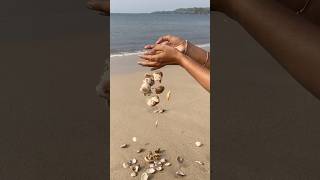 Turning beach treasures into beautiful wall decor—watch the magic of seashells unfold 🌊🌿 Sea [upl. by Barrus]