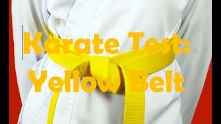 Karate Test Going Yellow Belt [upl. by Ycnaf]