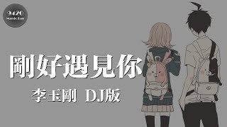 DJ版 剛好遇見你  李玉剛「如果再相遇，我想我會記得你」動態歌詞版 [upl. by Avery]