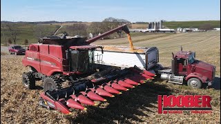 Long Farms Case IH 6140 Combine Corn Harvest [upl. by Niryt]