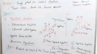 Thallus organization in fungi bsc [upl. by Lucic794]