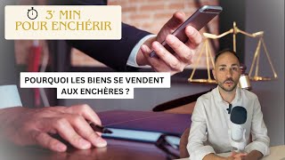 Épisode 1 Pourquoi les biens immobiliers sontils vendus aux enchères [upl. by Gyasi]