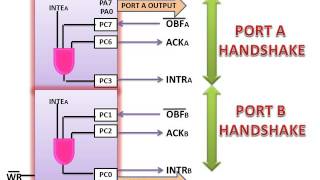 8255A Mode 1 Output Handshake Configuration [upl. by Enyamrahs]