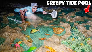 Finding Sea Creatures In CREEPY Tide Pool At NIGHT [upl. by Ecerahc]