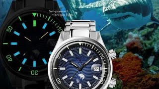 Ball Engineer Master II Diver Chronometer Reefs Malaysia DM2280AS4CBE [upl. by Scotney]