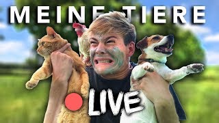 ICH STELLE MEINE TIERE VOR  LIVE  Joeys Jungle [upl. by Yrro]