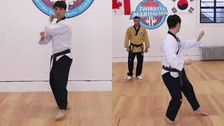 Koryo Poomsae 9 Instructional [upl. by Ocirled762]