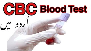 CBC Test In Urdu  CBC Complete blood counts Test in urduhindi  CP Complete Blood Picture [upl. by Lodhia]