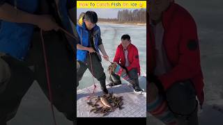 How To Catch Fish In Ice😱🤔shorts [upl. by Akihsat222]