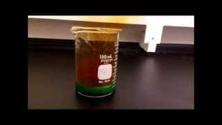 Quarter vs Nitric Acid [upl. by Lolande]