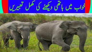 Khwab mein Hathi dekhna  Elephant Dream meaning  Khwab mein Hathi dekhne ki tabeer [upl. by Millur]