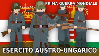 LESERCITO AUSTROUNGARICO  STORIA della Prima Guerra Mondiale [upl. by Anavahs]