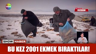 Bu kez 2001 ekmek bıraktılar [upl. by Hedveh]