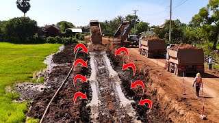 Complete in minutes Amazing action of building base road using powerful machine dozer amp truck 255t [upl. by Enileuqcaj]