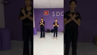 Bhool Bhulaiyaa youtubeshorts trending SDC star Academy [upl. by Bullough359]