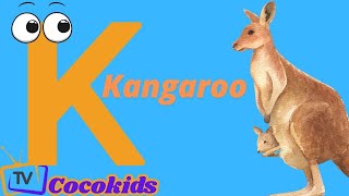 Phonics Letter K songCocokidsNursery Rhymes [upl. by Mattie]