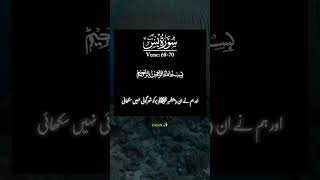 Surah Yasin shorts youtubeshorts islamicstatus 5000subscribers nature love [upl. by Halik]