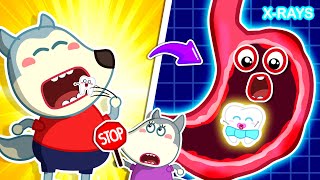 Dont Swallow Your Teeth  Series Learns Safety Rules With Mommy Wolf  Cartoons for Kids [upl. by Hatfield]