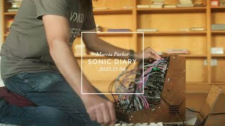 Sonic Diary  Vermona PerFourmer  Mannequins Mangrove  XOR NerdSEQ  Strymon Starlab amp Magneto [upl. by Braun103]