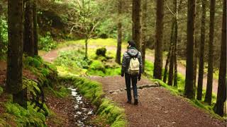 forest footsteps sound effect  walking in forest sound effect  copyright free sound effects [upl. by Eitsyrhc]