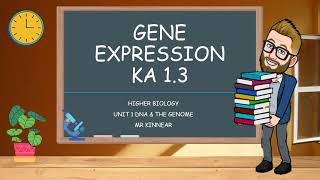 Gene Expression Higher Biology KA 13 [upl. by Isnan]