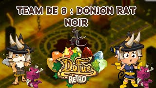 Aventure Allisteria 5 Donjon rat noir en detente  DOFUS RETRO [upl. by Arette]