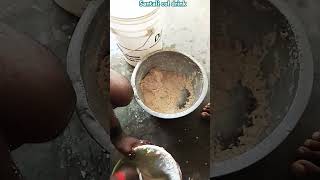 Santali col drink Tamil nadu [upl. by Fields572]