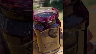 Unforgettable Taste of Azerbaijani chef Kanans Recipe of Blueberry Jam With Bread [upl. by Eineg]