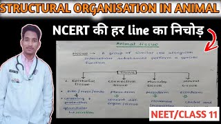 Structural organisation in animals class 11 one shot  Neet biology [upl. by Opportuna]