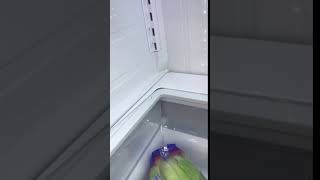 Bottom glass shelf of fridge slides into place with a clunk [upl. by Aihsein]