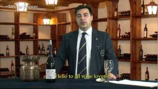 Valpolicella Classico Superiore Ripasso DOC 2009 Antolini  Videodegustazione Online wine tasting [upl. by Annaili]