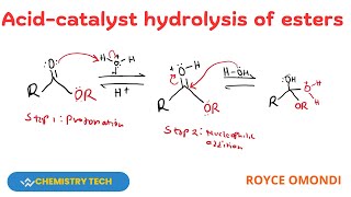 ACIDCATALYSED HYDROLYSIS OF ESTERS hydrolysis esterification [upl. by Ahtan]