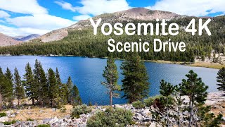 Scenic Drive Yosemite National Park 4K Drive Tioga Pass to Yosemite Valley Waterfalls Scenic View [upl. by Erodaeht119]