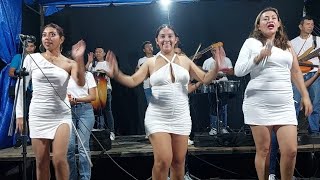 Los Capulines Del Ritmo En Vivo Mix [upl. by Oitaroh]