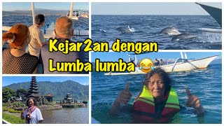 Pergi Lihat Dolphin Di Pantai Lovina Bali  Perahu Kejar kejaran dengan Lumba Lumba [upl. by Atte]