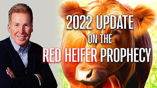 2022 Update On The Red Heifer Prophecy [upl. by Haikan]