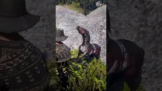 🔥 En esta UBICACIÓN encontrarás un CABALLO 🐎 raro fuerte hermoso y GRATIS de RED DEAD REDEMPTION 2 [upl. by Telracs944]